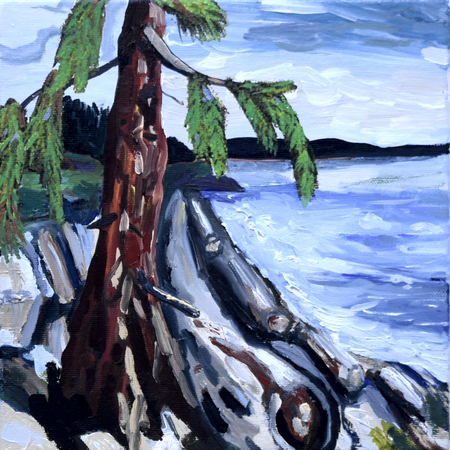 Beach and Cedar