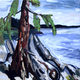 Beach and Cedar